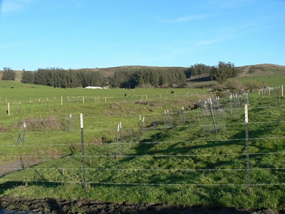 Riparian Fencing