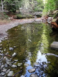 Dutch Bill Creek pools