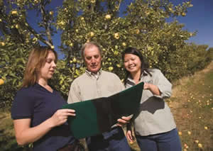 orchard owner planning conservation strategies with RCD staff