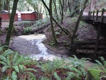 Poor water quality in Salmon Creek after rains