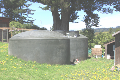 Tanks with daisies