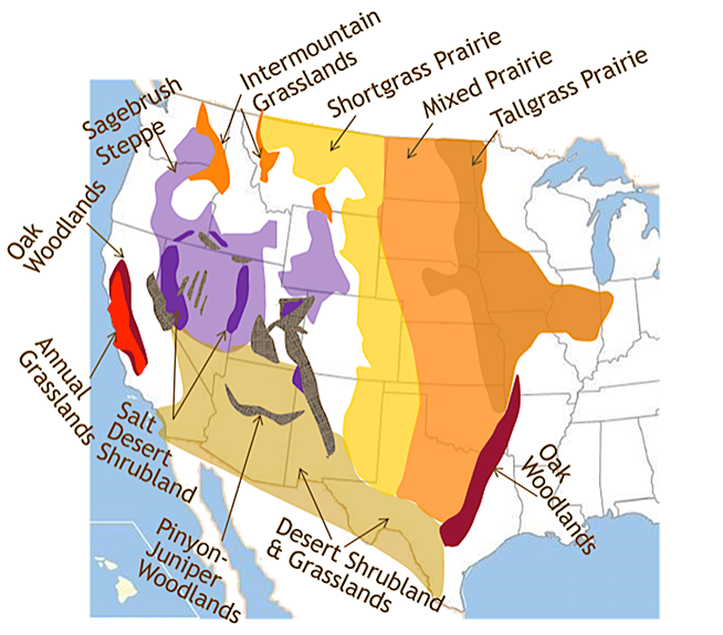  Map / Photo Credit:  Generalized map of rangeland vegetation types of the United States. Based mostly on A. S. Kuchler 1964. Potential natural vegetation of the conterminous Unites States. American Geographical Soc. Publ. #36.
