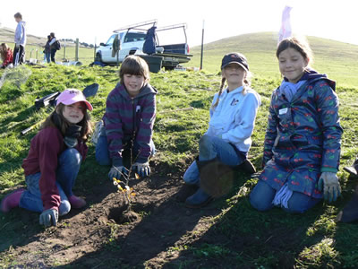 STRAW planting